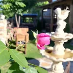 Guest house семеен скендерова къща