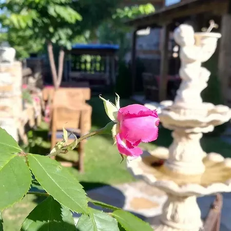 Guest house семеен скендерова къща